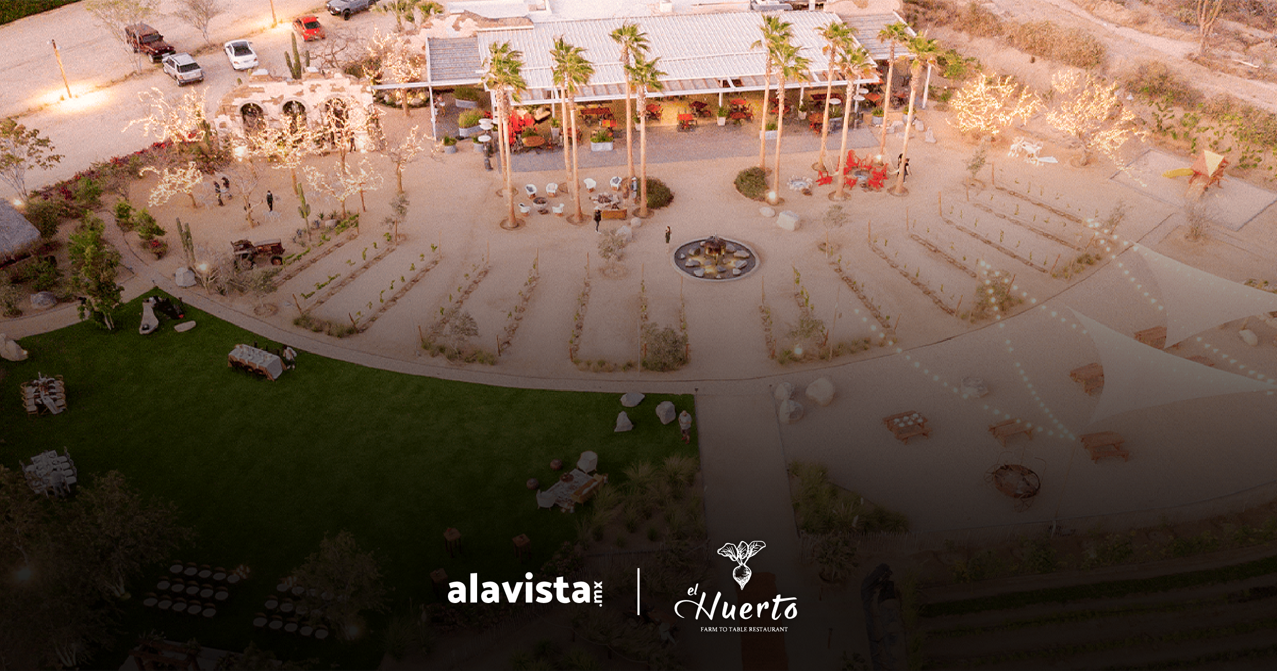 alavista.mx Casos de &Eacute;xito